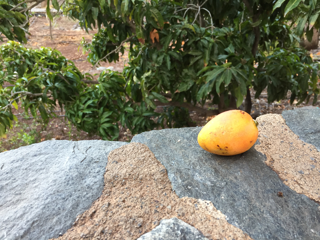 2018-03-LaGomera-201/35 Sek. bei f / 2,2iPhone 6