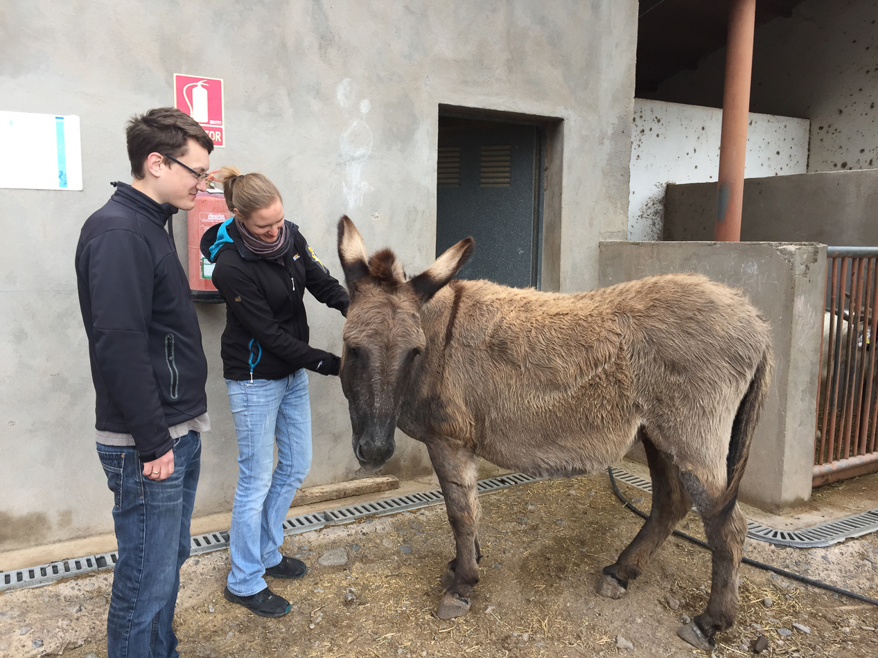 2018-03-LaGomera-241/50 Sek. bei f / 2,2iPhone 6