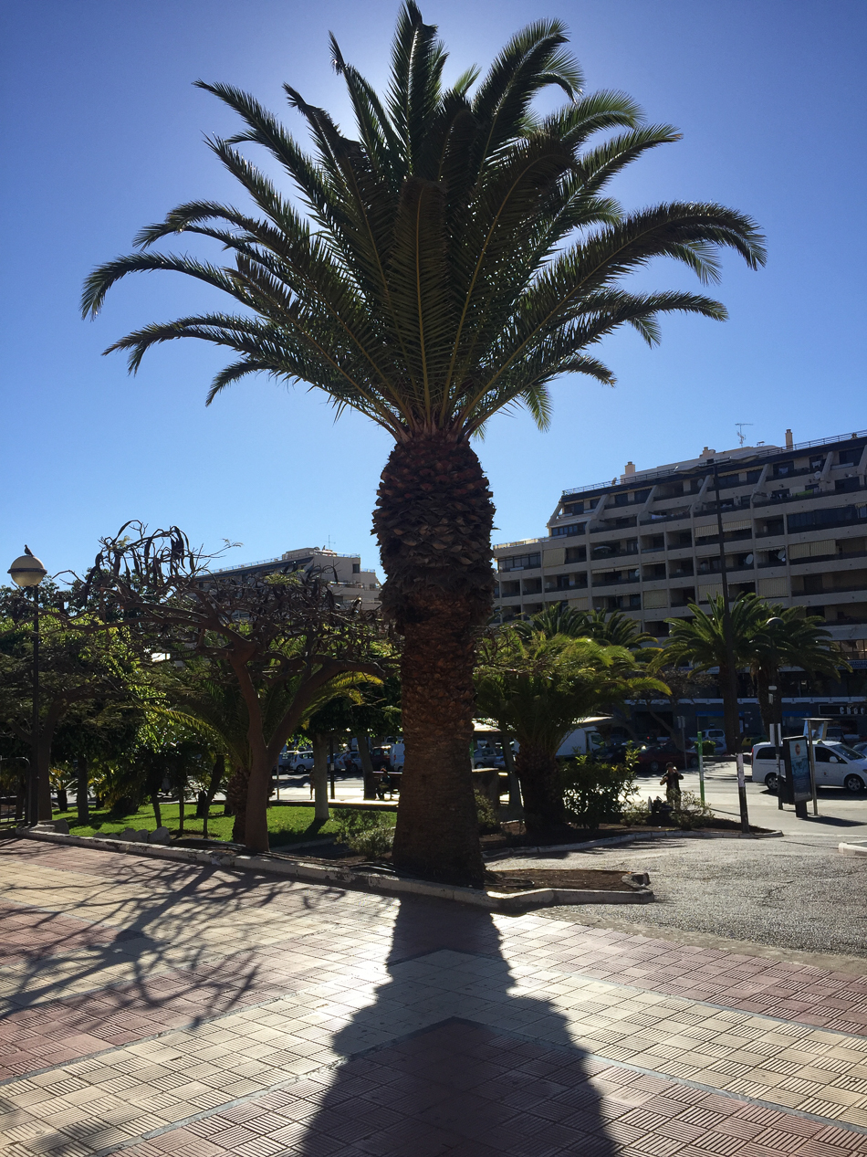 2018-03-LaGomera-51/2300 Sek. bei f / 2,2iPhone 6